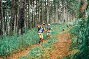 BIB: 
                            <button type="button" onclick="openModal(25654377)" class="btn btn-primary btn-sm float-right btn-popup" data-toggle="modal" data-target=".modal-high-quality">
                        <i class="fas fa-shopping-cart"></i> Add to Cart
                    </button>
                                            <button type="button" onclick="isThisMe(25654377, true)" class="btn btn-success btn-sm float-right btn-popup btn-isme hidden" data-toggle="tooltip" data-placement="bottom" title="นี่คือรูปของคุณใช่ไหม คลิกที่นี่เพื่อเอาเข้าอัลบั้ม">
                        <i class="fas fa-plus"></i> Add to album
                    </button>
                    <button type="button" onclick="isThisMe(25654377, false)" class="btn btn-warning btn-sm float-right btn-popup btn-isnotme hidden">
                        <i class="fas fa-ban"></i> Remove from album
                    </button>